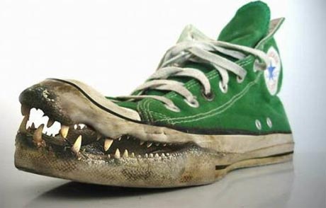 [Image: crocodile-shoes1.jpg]