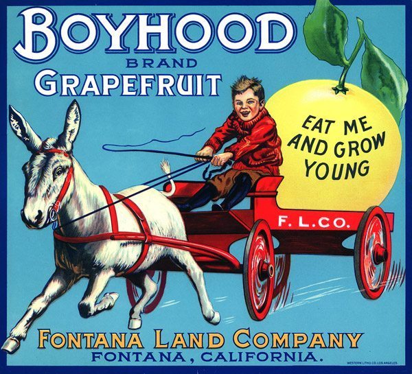 boyhood_0