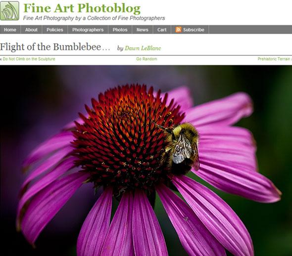 Fine-Art-Photoblog