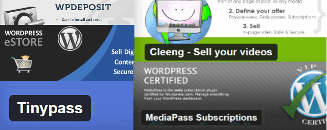 6+ Best Pay Per View Plugins For Your WordPress Blogs