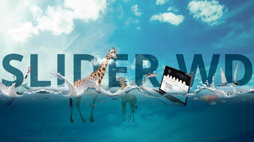 4 Top WordPress Plugins for Content Showcase of Your Website