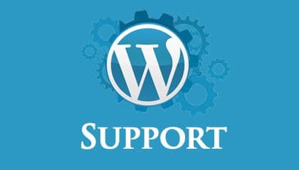 How To Properly Find for WordPress Support and Fix it