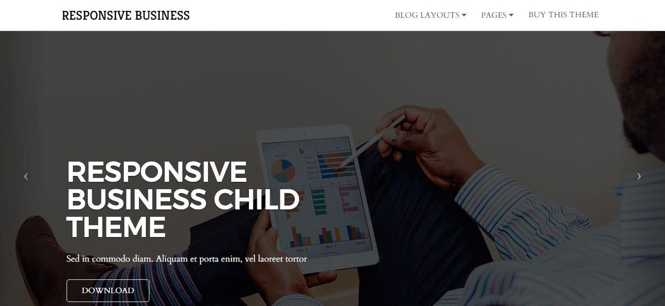 Responsive Business Theme Review