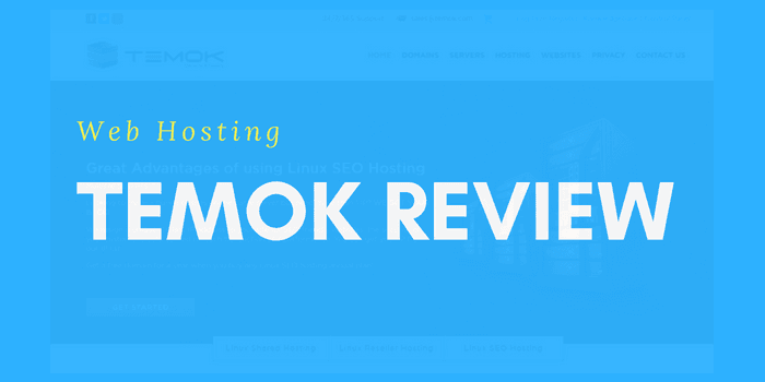 A Look into Temok: Web Hosting Review