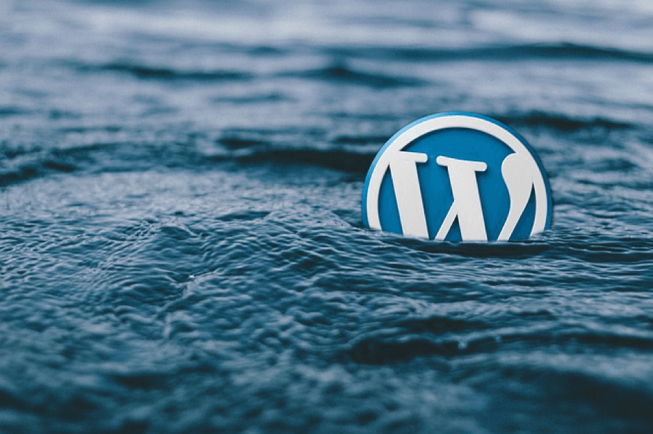 Ways to Make your WordPress site More Professional
