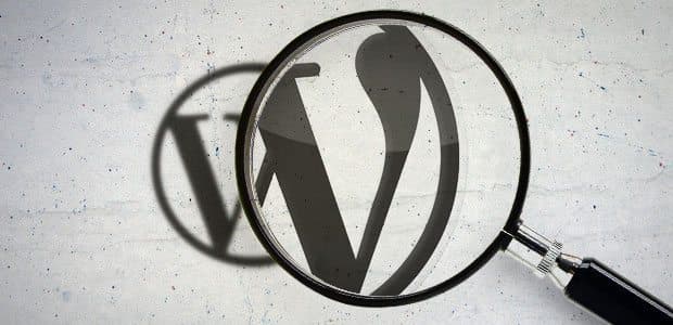 How to Turns WordPress’ basic search into a full text