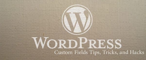 WP Custom Fields usage for Customers website and Multisite users