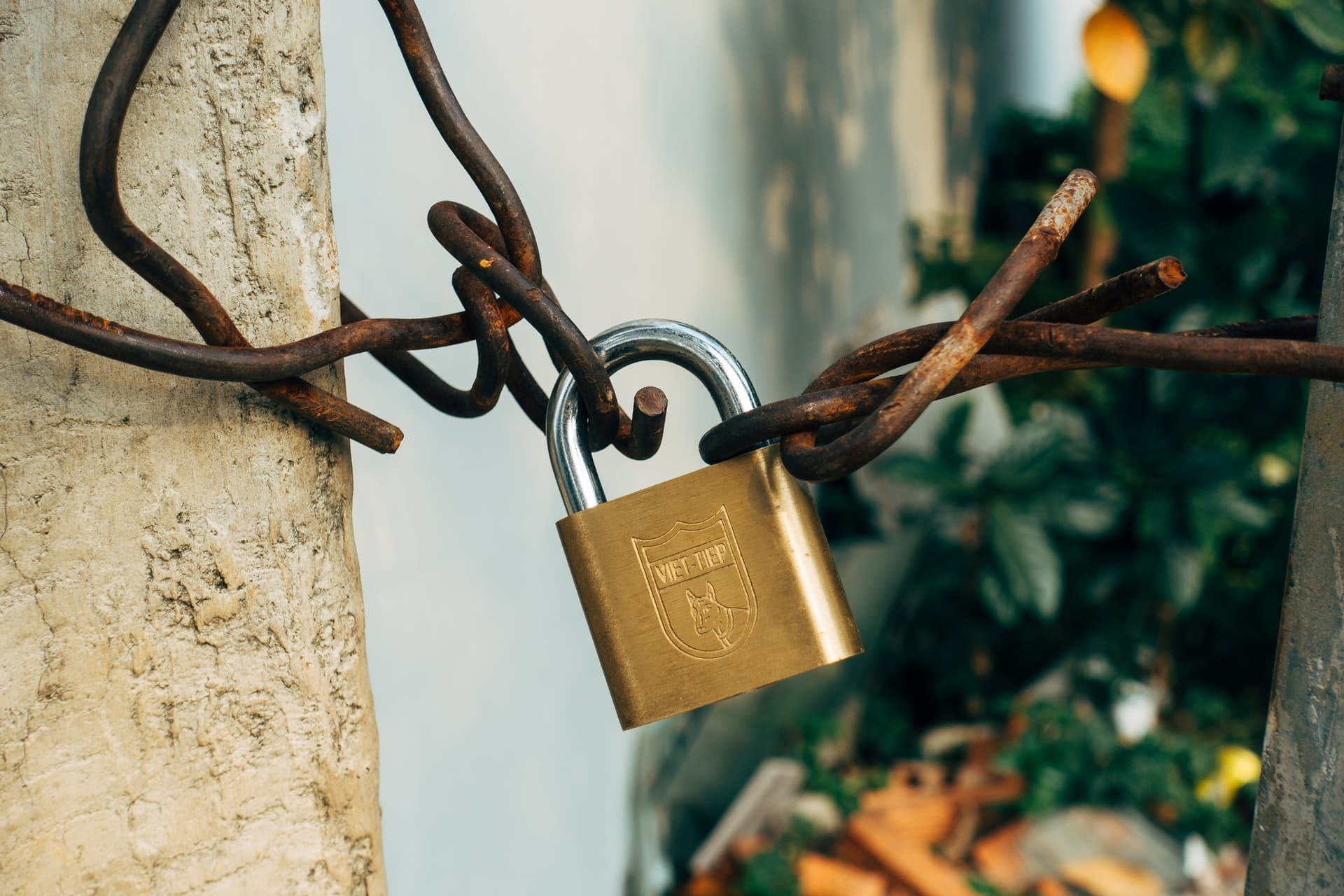 Password Managers: How Do They Help You?