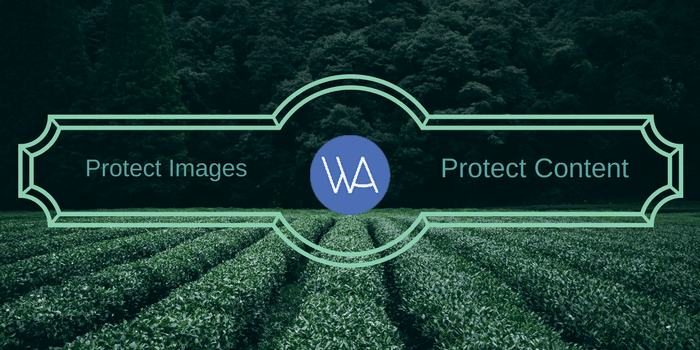 How to secure your WordPress images and content from Theft