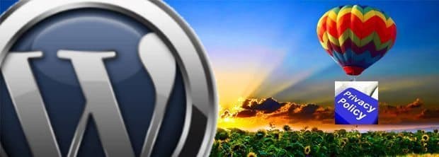 A Privacy Policy For Websites, The Need of The Hour