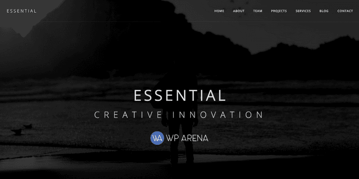 Essential – The Minimalist WordPress Theme Review