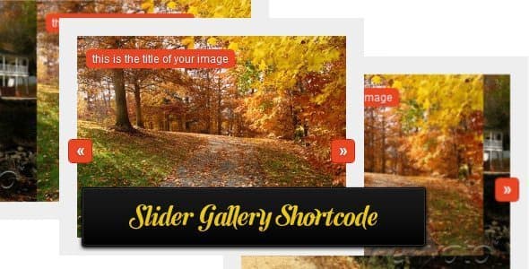 WordPress Shortcode with loop, meta, category, Gallery and Plugins