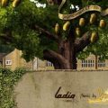 ladio