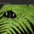 Eric-Scouten-Photography