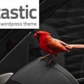 Foliotastic