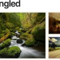 Wide-Angled