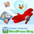 Twitter-Tools-for–WordPress-Blog
