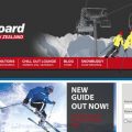 Brown-Bear-Ski
