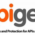 Apigee-Provides-Analytics