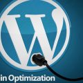 Plugins-Optimization