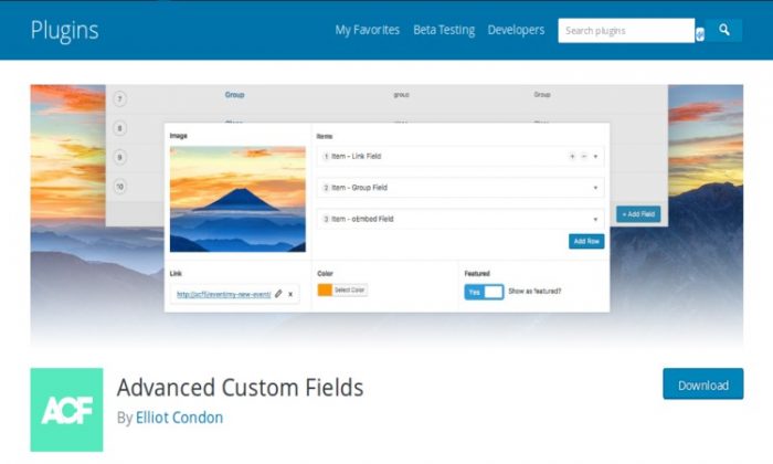 Advanced Custom Fields