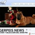 Ginger-Peis-Kennel