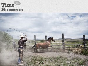 Titus Simoens Photographer