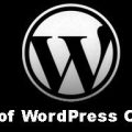 WordPress-Custom-Fields