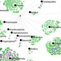 custom-taxonomies