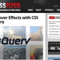 Fearless-Flyer-Web-Design