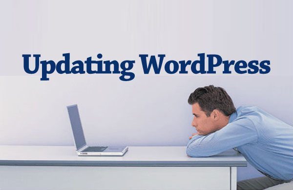 Update WordPress