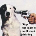 spam_1