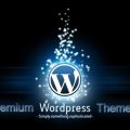 premium-wordpress-themes
