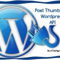 setting-wp-post-thumbnai