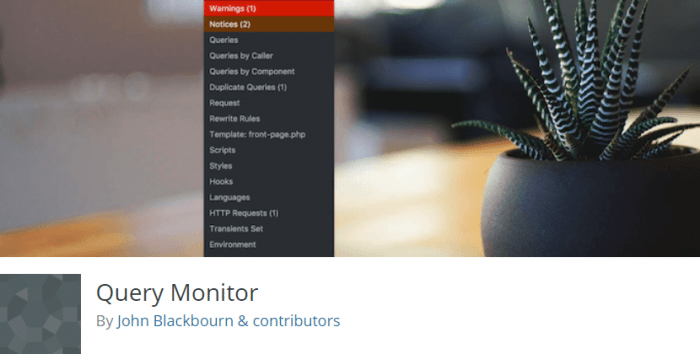 Query Monitor WordPress Error Notification Plugin