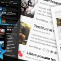 ReviewIt-Review-Community-WordPress-Theme
