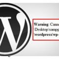 WordPress-error