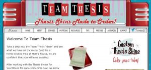 teamthesis
