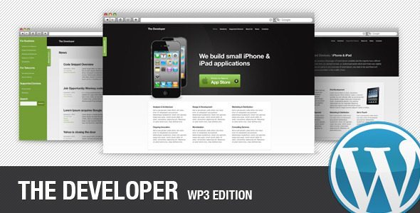 The Developer WP3 Edition