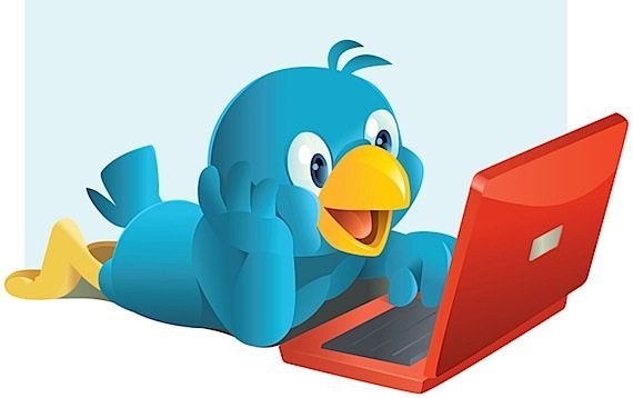 twitter bird with pc