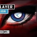 Video Player WordPress Plugin