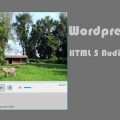 WordPress Media