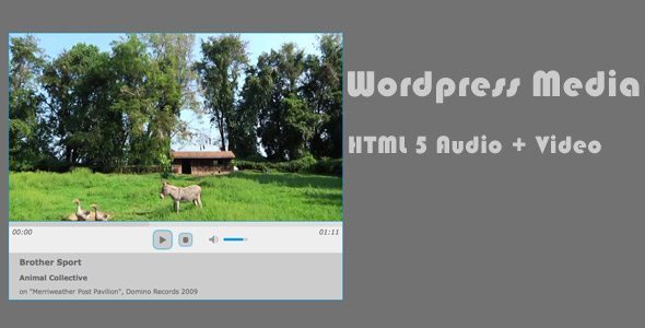 Wordpress Media