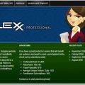 FlexxTheme-Mega-WP-Blog-Theme