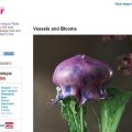 Flickr-blog