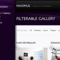 Maximus WordPress Theme