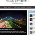 Newsley-Theme