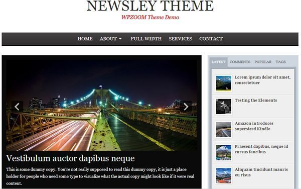 Newsley Theme