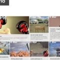 Pinterest-Style-WordPress-Themes-Aperio