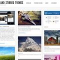 Pinterest-Style-WordPress-Themes-Shaken-Stirred